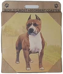 Pit Bull Brindle Coaster Sq.