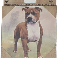 Pit Bull Coaster Sq.