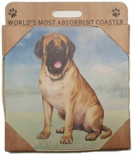 English Mastiff Coaster Sq.