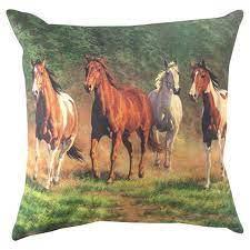 Evening Gold Pillow