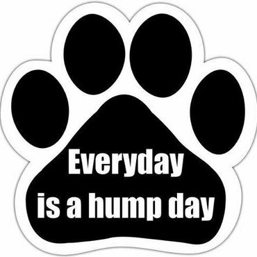 Everyday Is Hump Day Magnet