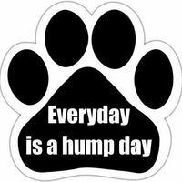 Everyday Is Hump Day Magnet