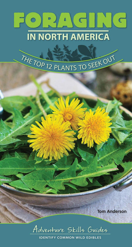 Foraging in North America Quick Guide