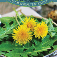 Foraging in North America Quick Guide