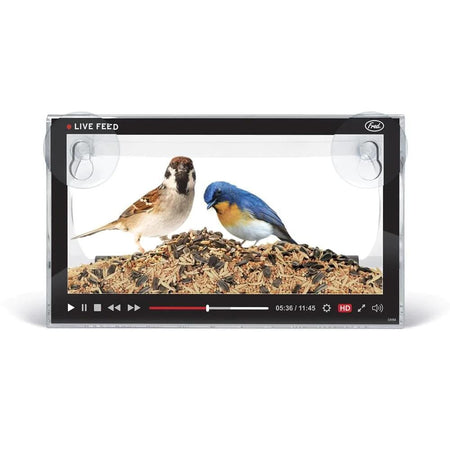 Fred Howligans- Bird Feeder L
