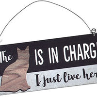 Cat Is In Charge Sign