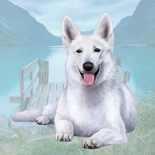 German Shepherd White Coaster Sq.