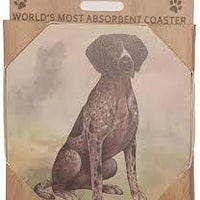German Shorthair Pointer Coaster Sq.