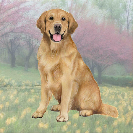 Golden Retriever Coaster Sq.