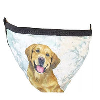 Golden Retriever Face Mask