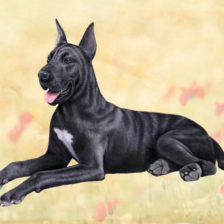 Great Dane Black Coaster Sq.