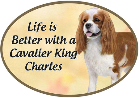 King Charles Cavalier Car Magnet