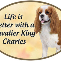 King Charles Cavalier Car Magnet