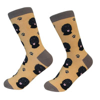 Labradoodle, Black Socks