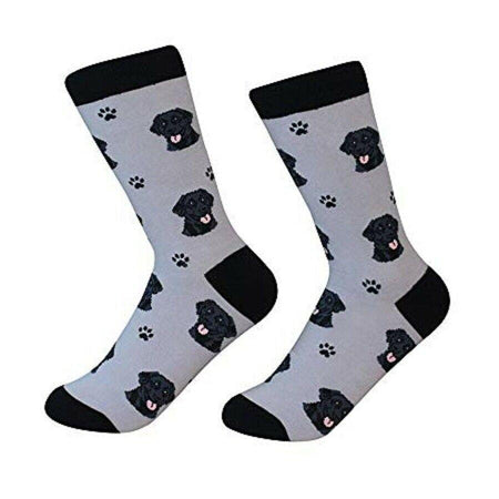 Labrador,Black Socks