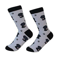 Labrador,Black Socks