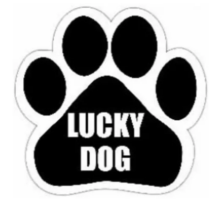 Lucky Dog Magnet