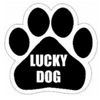 Lucky Dog Magnet