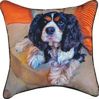Charles in Charge 18" Pillow