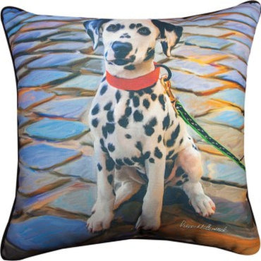 Dalmation 18