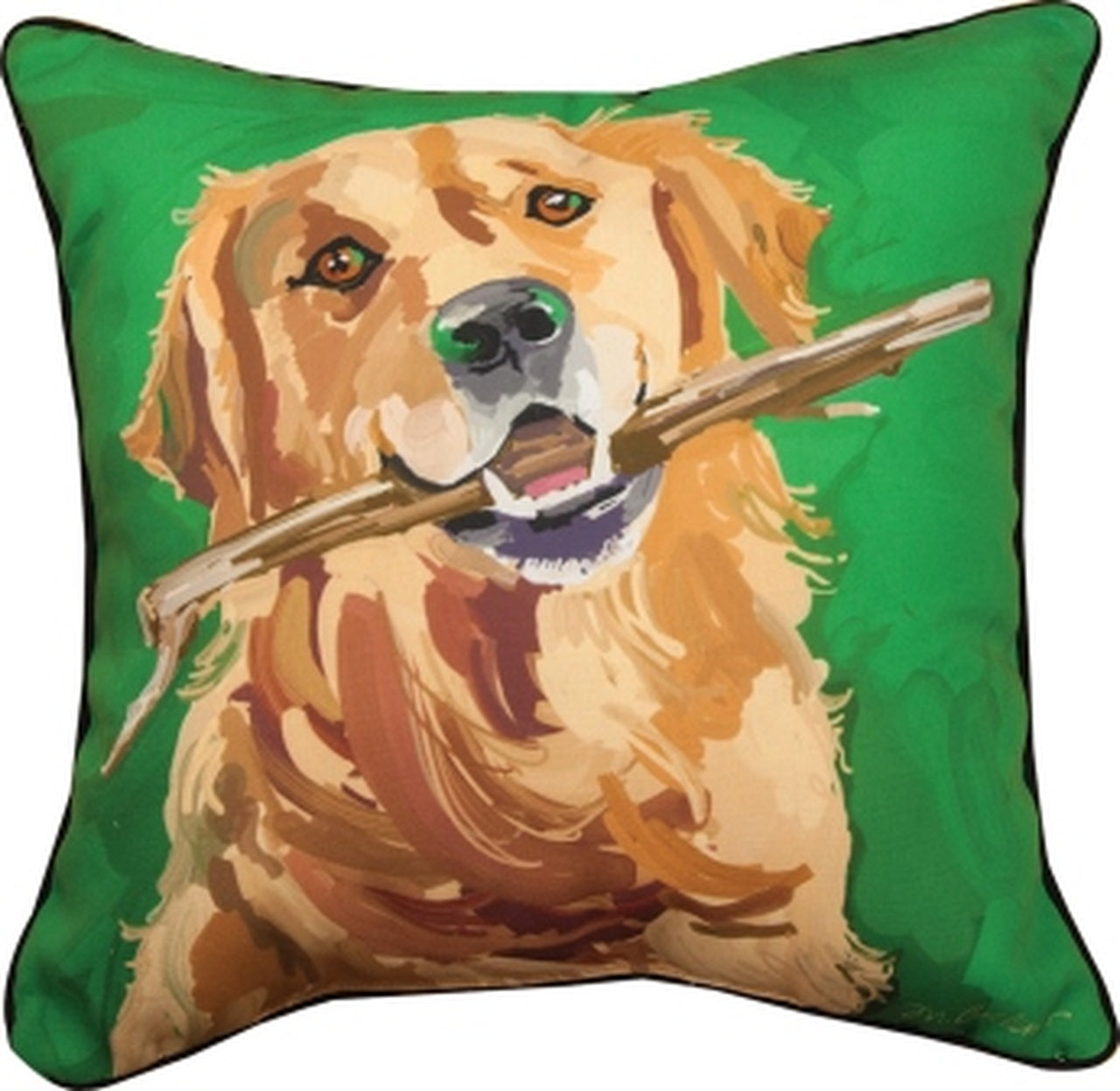 Curry the Golden Retreiver Pil
