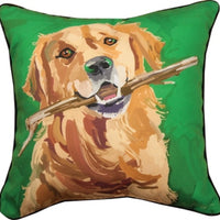 Curry the Golden Retreiver Pil