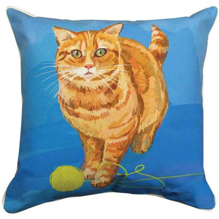 Martha's Curious Cats Strider