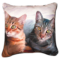 Sweepo and Toney Cat Pillows