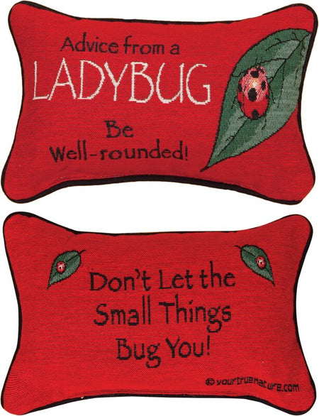 Advice from a Ladybug Pillow