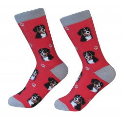 Bernese Mt. Dog Socks