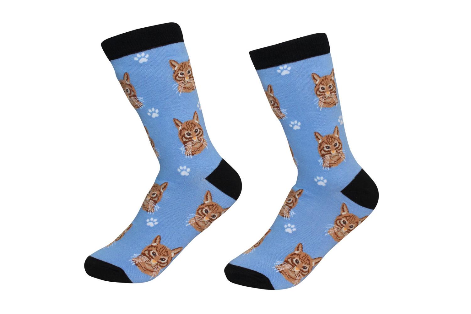 Orange Tabby Cat Socks