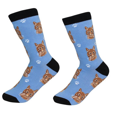 Orange Tabby Cat Socks
