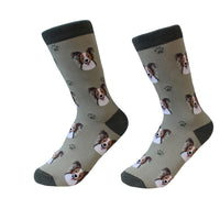 Papilion Socks