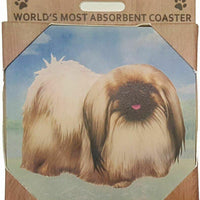 Pekingese Coaster Sq.