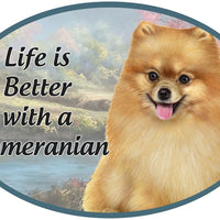 Pomeranian Car Magnet