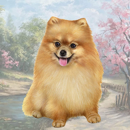 Pomeranian Coaster Sq.