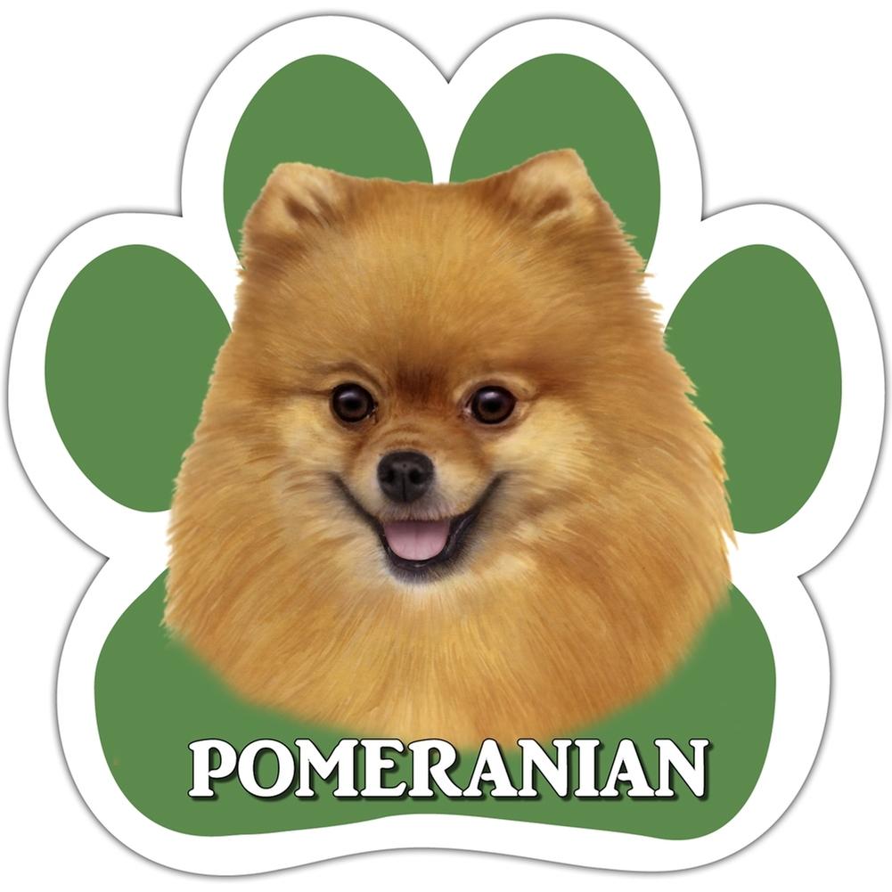 Pomeranian Dog Magnet