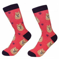 Pomeranian Socks