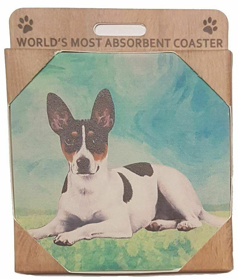 Rat Terrier Coaster Sq.
