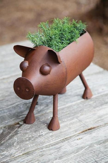 Rusty Pig Planter