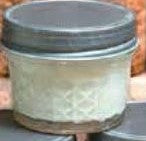 Mini Sampler : Silver Spruce