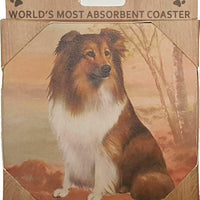 Sheltie Coaster Sq.