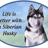 Siberian Husky Car Magnet