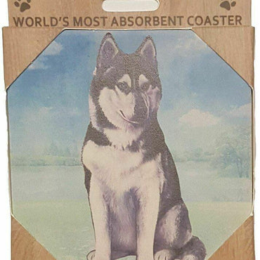 Siberian Husky Coaster Sq.
