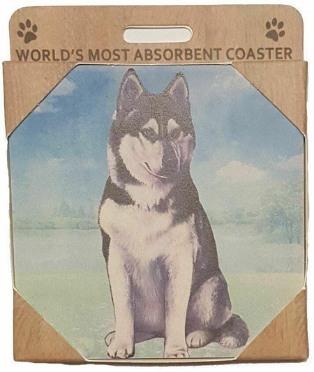 Siberian Husky Coaster Sq.