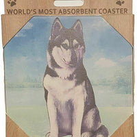 Siberian Husky Coaster Sq.