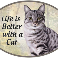 Silver Tabby Car Magnet