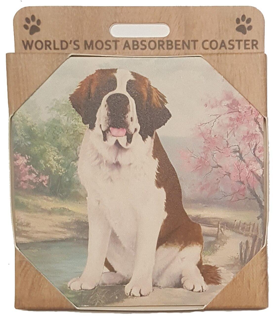 St. Bernard Coaster Sq.