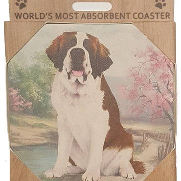 St. Bernard Coaster Sq.