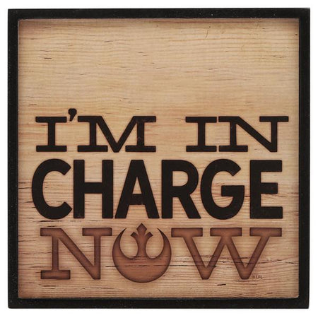 Star Wars "I'm In Charge Now" Rebel Alliance Logo Wood Wall Decor